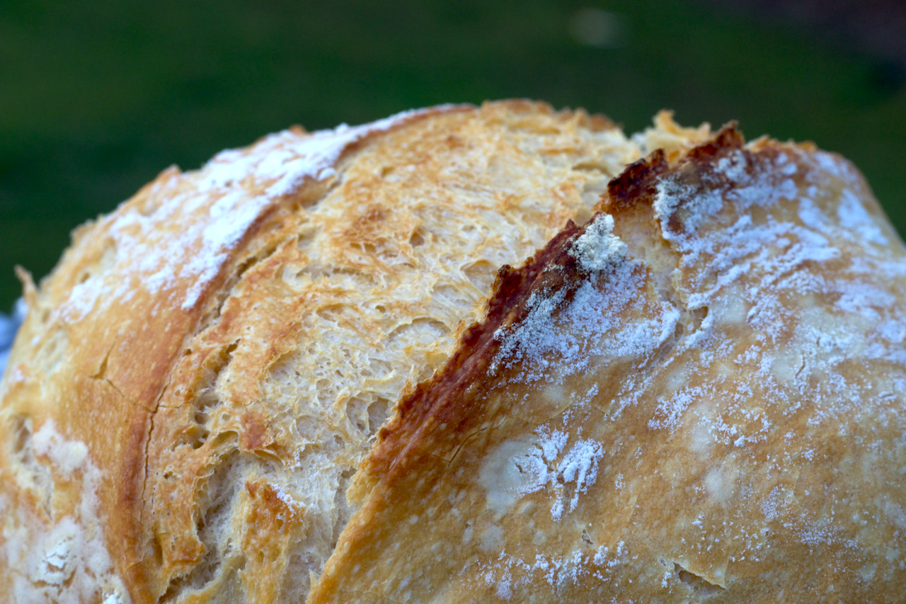 Sourdough bread close up
